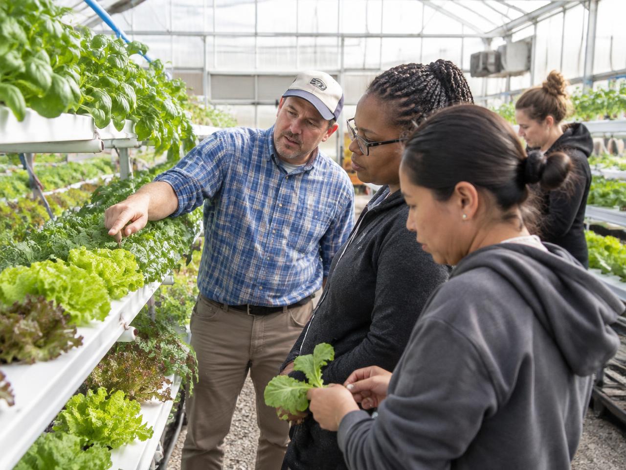 Instructor explaining hydroponic growing racks to learners inside a greenhouse